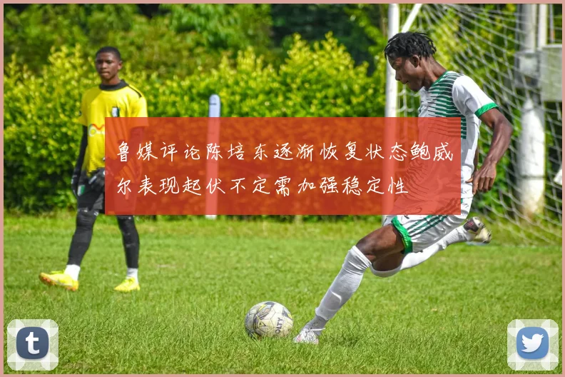 鲁媒评论陈培东逐渐恢复状态鲍威尔表现起伏不定需加强稳定性