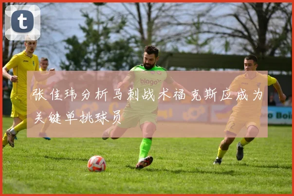 张佳玮分析马刺战术福克斯应成为关键单挑球员