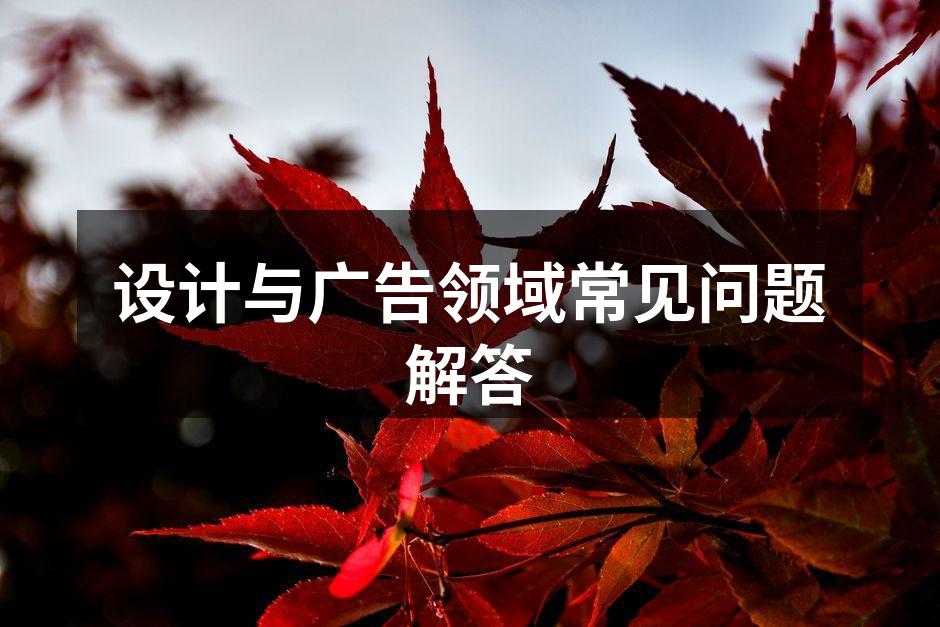 创意流程中的灵感碰撞